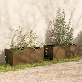 dārza puķu kastes, 2 gab., medus brūnas, 100x50x50 cm, priede