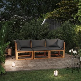 trīsvietīgs dārza dīvāns ar spilveniem, akācijas masīvkoks