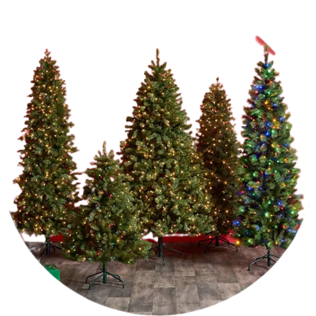FY23Q4_CD_Christmas_Trees-Classsic_OPTIMIZED_Circle-removebg-preview.png